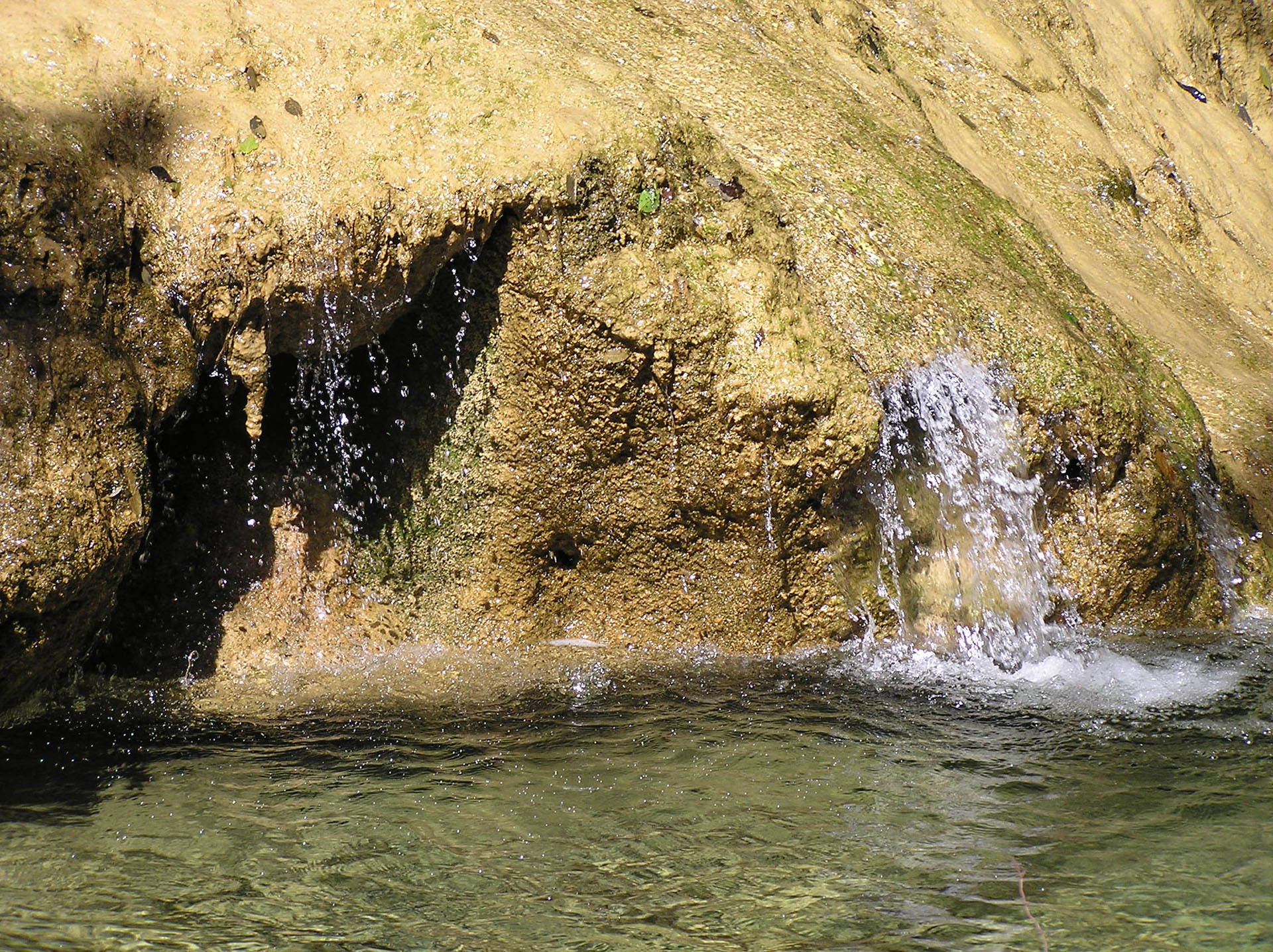 Consorzio BIMF Consorzio BIMF